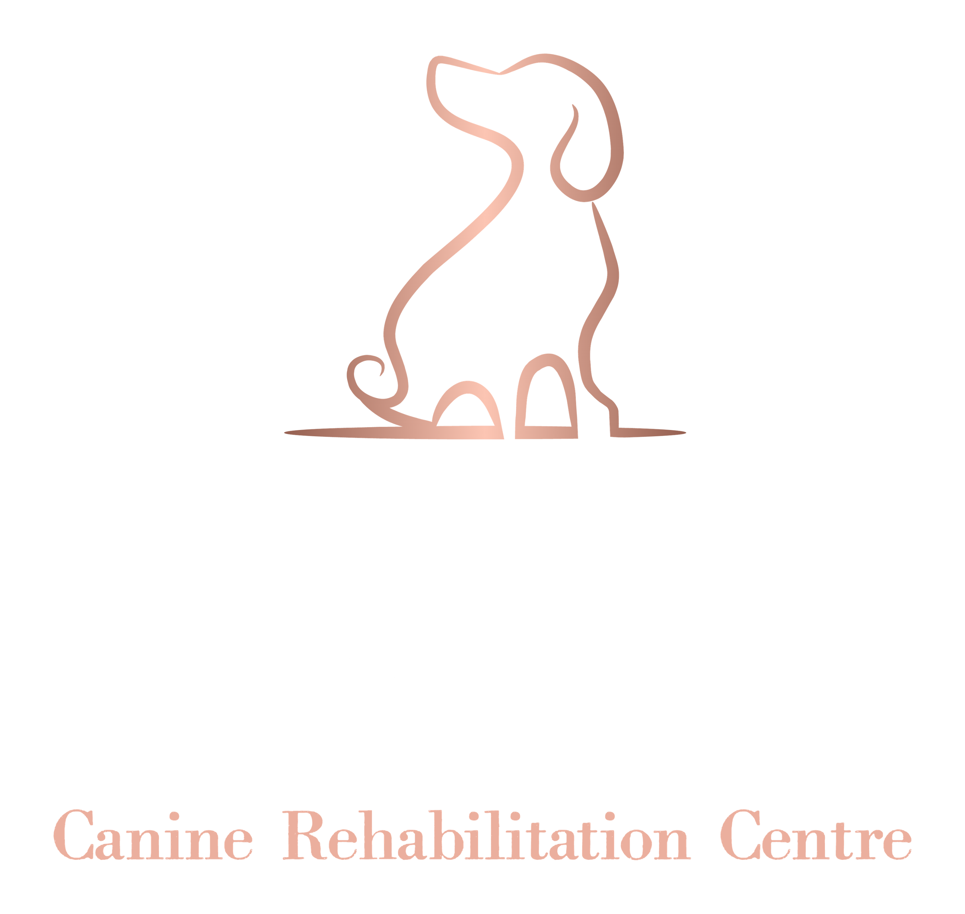 Rosecroft Rehab - Canine Rehabilitation Centre